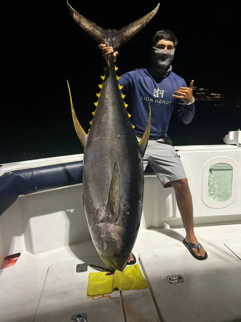 Massive yellowfin tuna caught on overnight offshore charter Lion Heart Cabo San Lucas