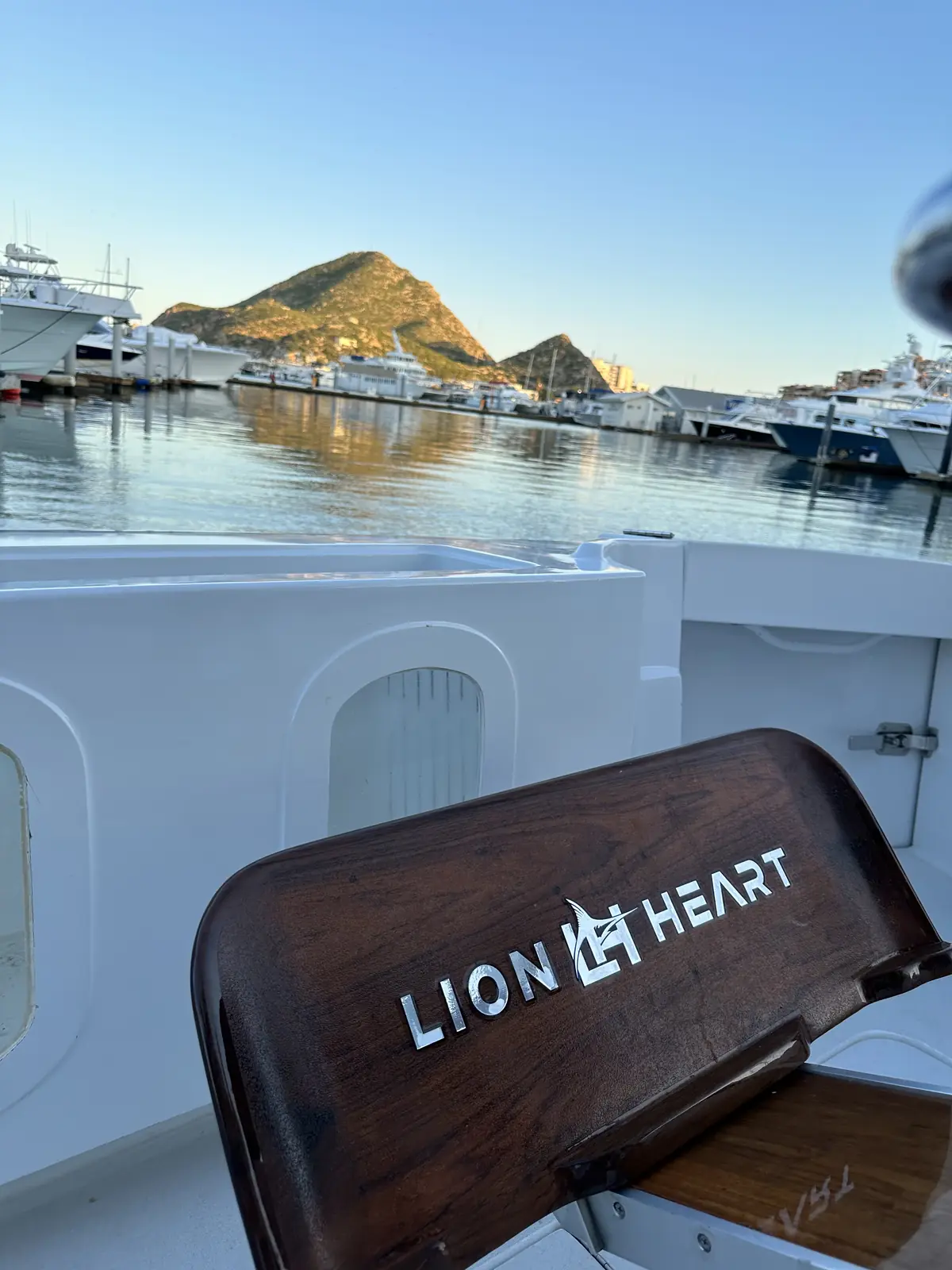 Fighting chair on Lion Heart