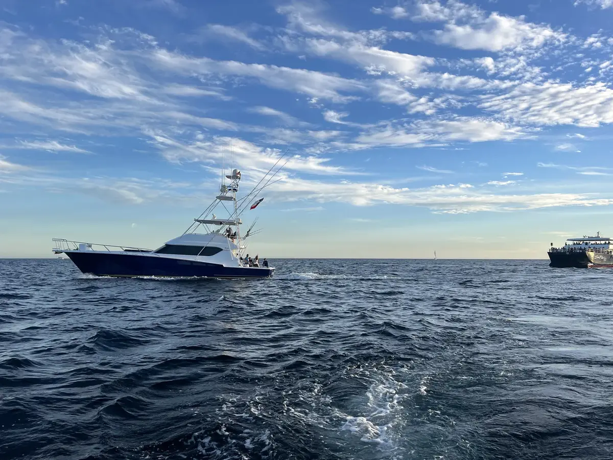 Full side profile cruising Cabo waters